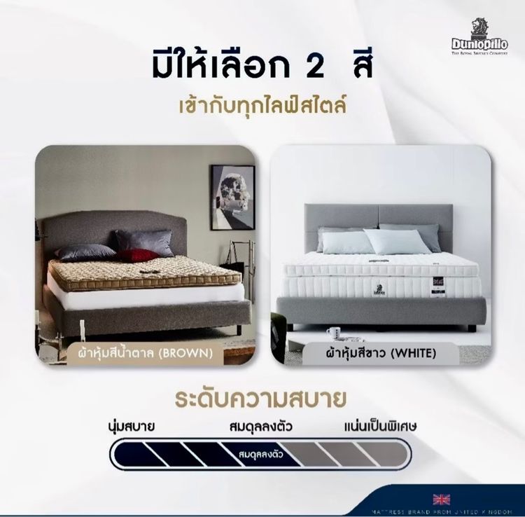ที่นอนยางพารายี่ห้อ lotus  รูปที่ 5