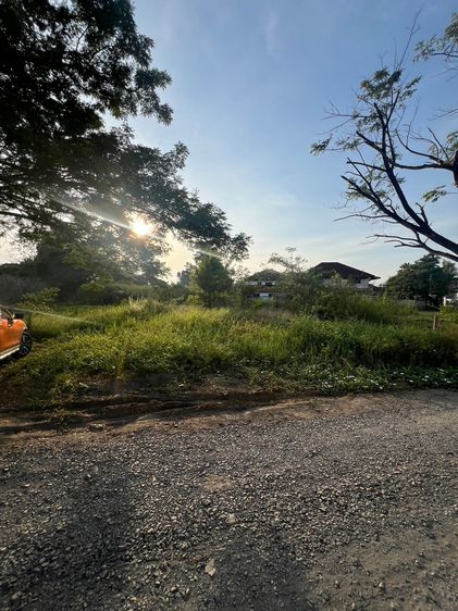 ที่ดิน อ.สันกำแพง จ.เชียงใหม่ รูปที่ 3