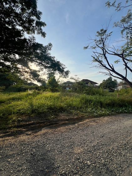 ที่ดิน อ.สันกำแพง จ.เชียงใหม่ รูปที่ 2