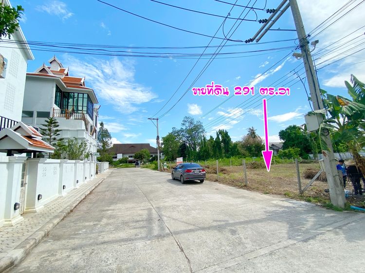 ขายที่ดินในคูเมืองเชียงใหม่ 291 วา ราคาถูกที่สุด รูปที่ 3