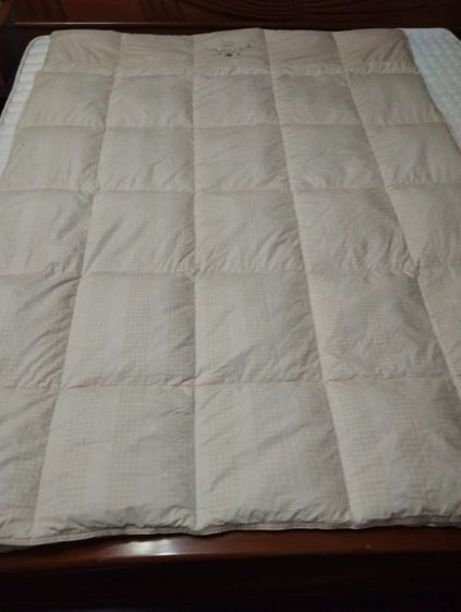 ผ้าห่มขนเป็ด Christien dior แท้ รูปที่ 2