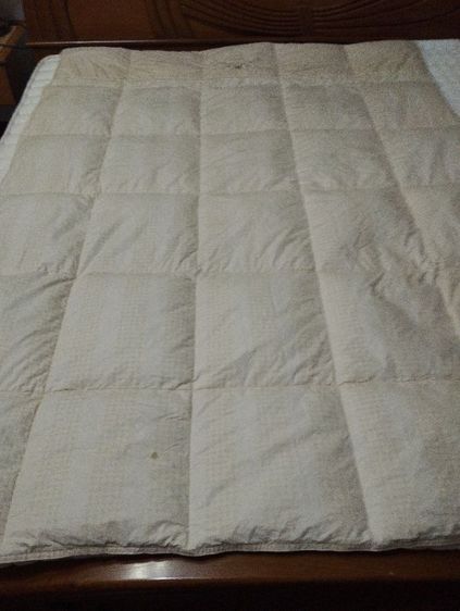 ผ้าห่มขนเป็ด Christien dior แท้ รูปที่ 8