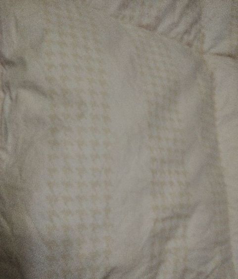 ผ้าห่มขนเป็ด Christien dior แท้ รูปที่ 9