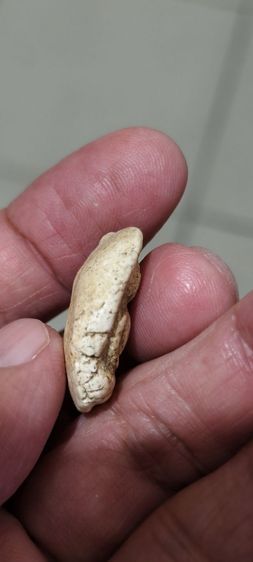 พระเก่าโบราณ รูปที่ 5