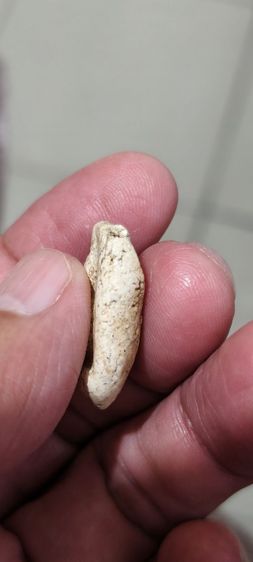 พระเก่าโบราณ รูปที่ 8