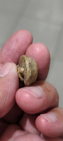 พระดินปั้นเก่าๆ รูปที่ 12