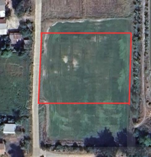 ขายที่ดิน ทำเลชุมชน โล่งโปร่งสบายวิวภูเขา ที่ดินโฉนดครุฑแดง รูปที่ 4