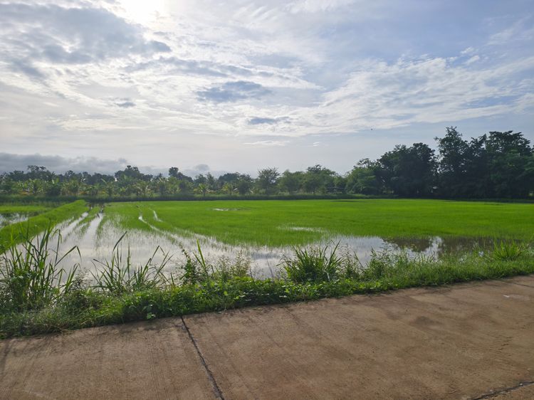 ขายที่ดิน ทำเลชุมชน  โล่งโปร่งสบายวิวภูเขา ที่ดินโฉนดครุฑแดง 