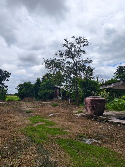 ขายบ้านเก่า พร้อมที่ดินติดถนน ทำเลดี ใกล้วัดถ้ำแม่ย่าสุโขทัย รูปที่ 3