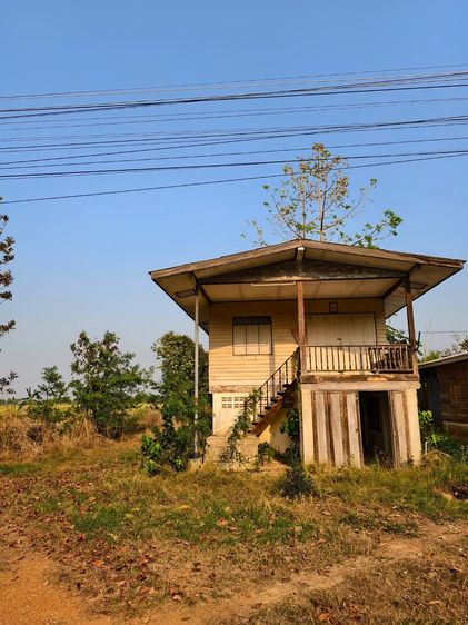 ขายบ้านเก่า พร้อมที่ดินติดถนน ทำเลดี ใกล้วัดถ้ำแม่ย่าสุโขทัย รูปที่ 2