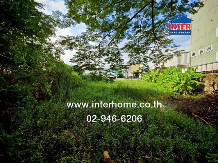 ไม่ใช่ ที่ดินเปล่า 211 ตร.ว. ที่ดิน ซอยเคหะร่มเกล้า72 แยก5 ถนนรามคำแหง ถนนเคหะร่มเกล้า เขตบางกะปิ กรุงเทพมหานคร รูปที่ 2