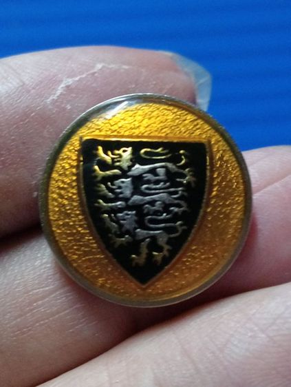 งานนอก หายาก รูปที่ 8