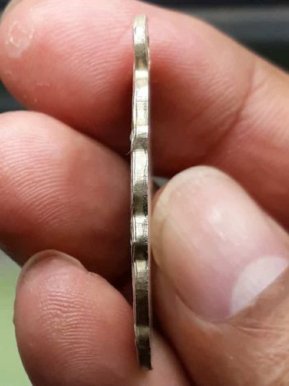 เหรียญแมงกะบี้หลวงพ่อเดิม รูปที่ 3