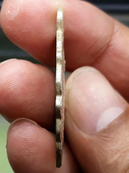 เหรียญแมงกะบี้หลวงพ่อเดิม รูปที่ 4