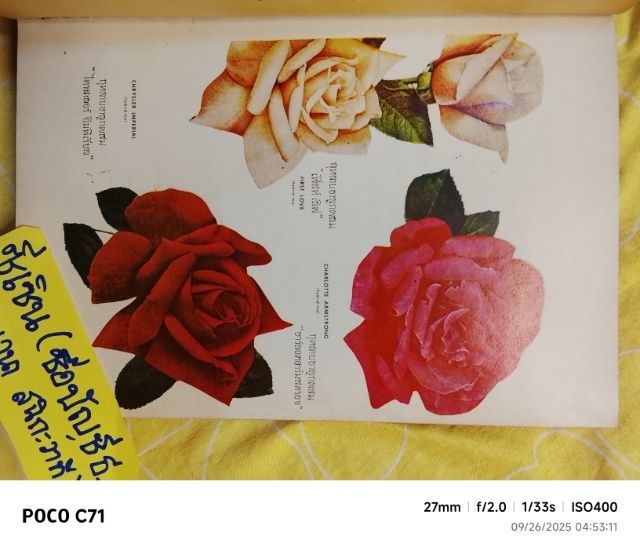 ขายหนังสือเก่า "ตำรากุหลาบ  ฉบับสมบูรณ์ " 
➡️ฉบับตีพิมพ์ครั้งแรก 
➡️150.- รวมส่ง รูปที่ 2