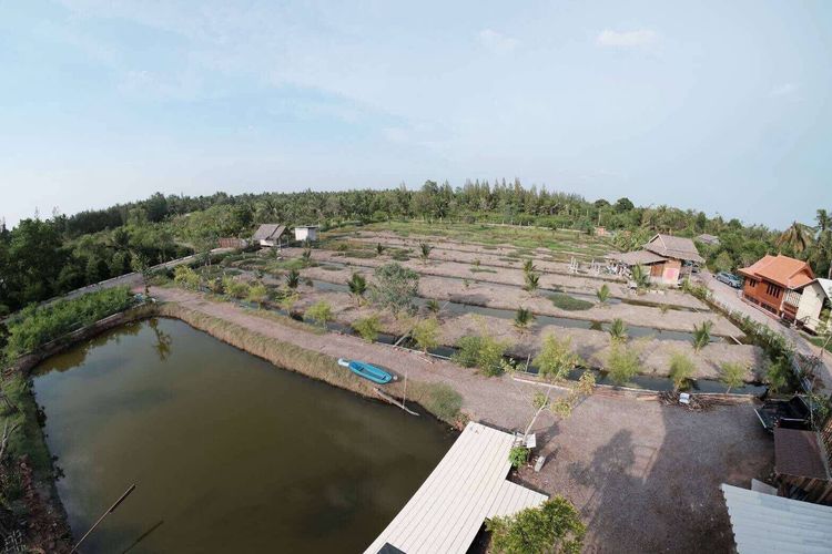 ที่ดิน รูปที่ 3