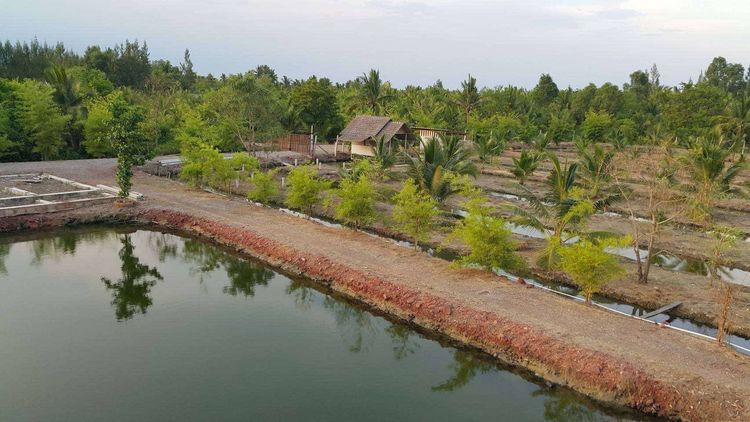 ที่ดิน รูปที่ 4