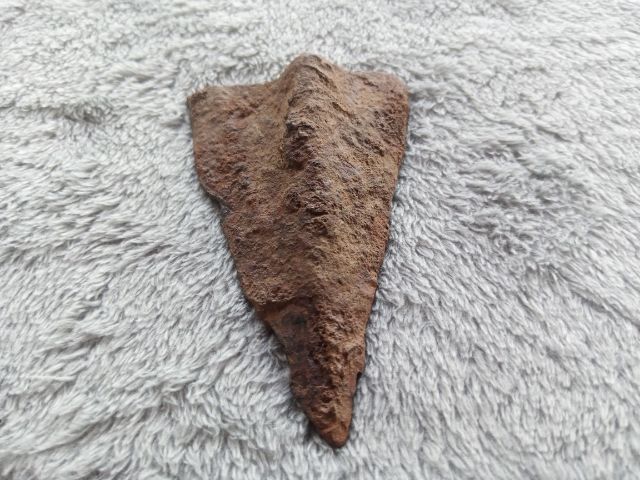 ผานไถ รูปที่ 2