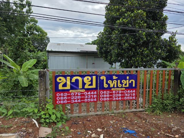 ไม่ใช่ ขายที่ดิน พร้อมโกดัง เขตเศรษฐกิจพิเศษ นครพนม ติดถนนใหญ่ ใกล้สะพานมิตรภาพไทย-ลาว แห่งที่3 รูปที่ 2