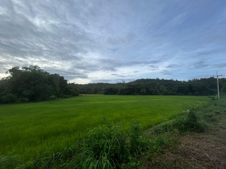 ใช่ ขายที่ดิน อ.เมือง จ.ตาก วิวแม่น้ำ ภูเขา 9ไร่1งาน พร้อมโอน ต่อรองได้ครับ รูปที่ 2