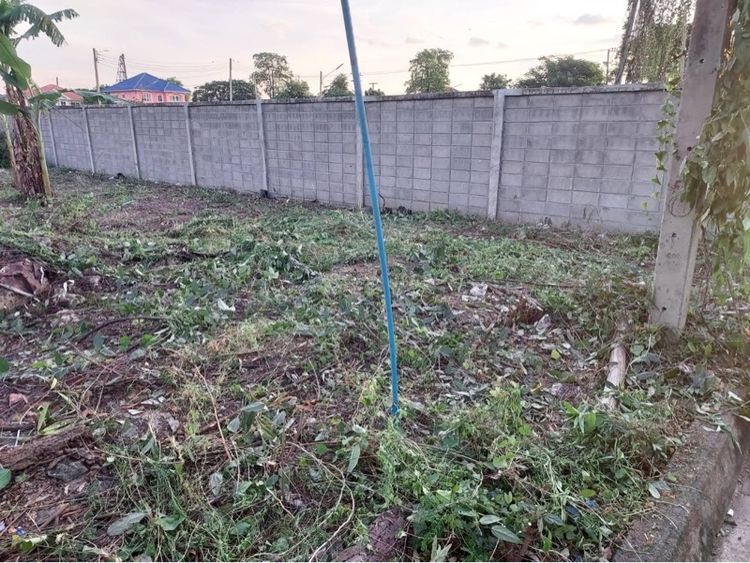 ที่ดิน81ตรว. ในหมู่บ้านสีวลี1 คลองสอง รังสิต