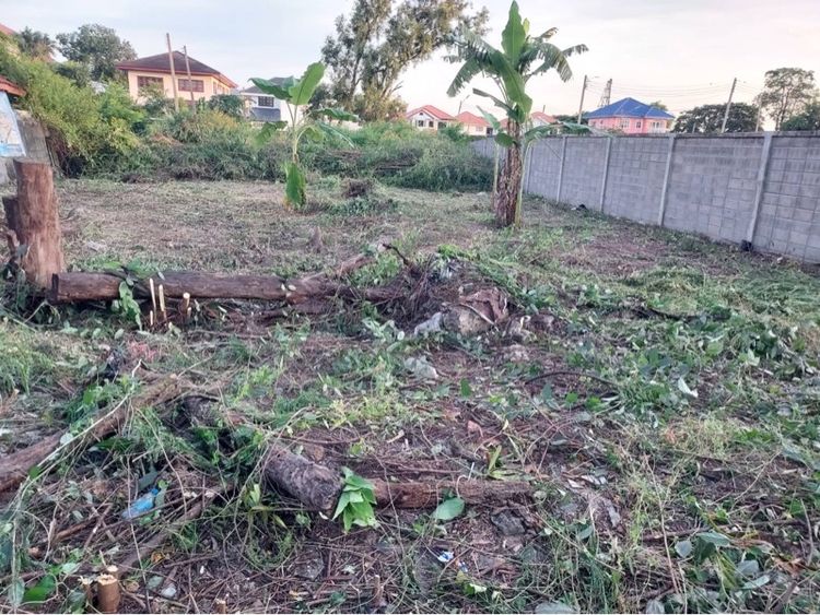 ที่ดิน81ตรว. ในหมู่บ้านสีวลี1 คลองสอง รังสิต รูปที่ 2