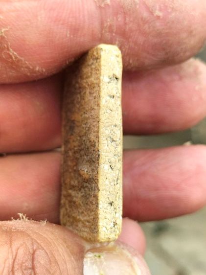 สมเด็เก่า  รูปที่ 3