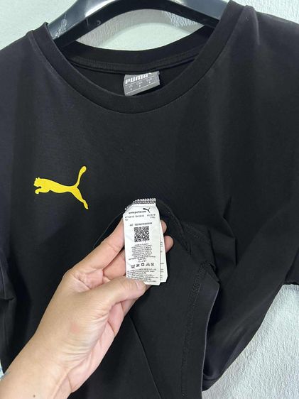 🌈 เสื้อยืด แขนสั้น👉แบรนด์แท้💯🪧👉✨️แบรนด์ดัง💯💥 รูปที่ 5