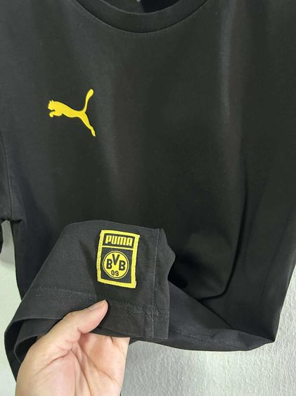 🌈 เสื้อยืด แขนสั้น👉แบรนด์แท้💯🪧👉✨️แบรนด์ดัง💯💥 รูปที่ 6