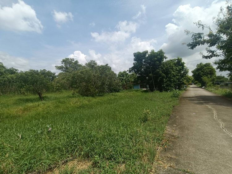 ขายที่ดินวิวคลอง 2 ไร่ ทำเลดี น้ำไม่ท่วม คู้ซ้าย หนองจอก รูปที่ 2