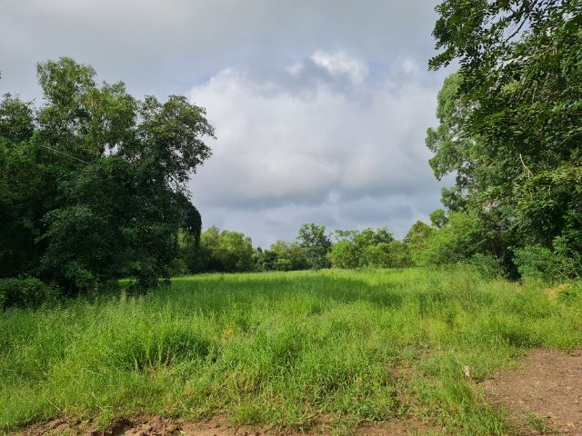 ขายที่ดิน 25 ไร่ 2 งาน(เจ้าของขายเอง) รูปที่ 3