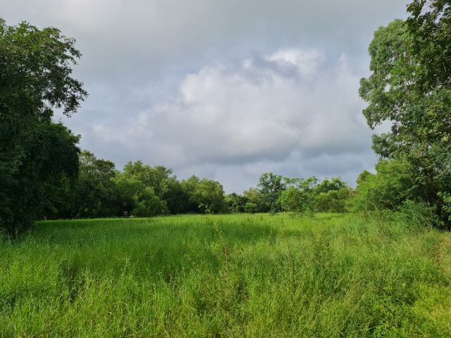 ขายที่ดิน 25 ไร่ 2 งาน(เจ้าของขายเอง)