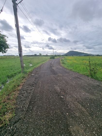ขาย​ที่ดิน​ 2ไร่​1งาน98วา​หน้าสวนนก​ชัยนาท​ วิวเขาสวยมากฟิล​ต่างประเทศ​ สิ่งอำนวยความสะดวก​ครบ​