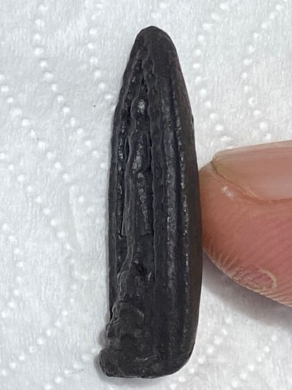 หลวงพ่อบ้านแหลม รูปที่ 5