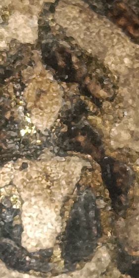 พระสมเด็จวัดระฆัง รูปที่ 3