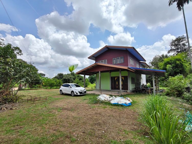 ไม่มี 2015 ไม่ใช่ บ้านเดี่ยว(เจ้าของขายเอง) มุกดาหาร พร้อมอยู่ ทำเลดี ใกล้สะพานมิตรภาพ  รูปที่ 3