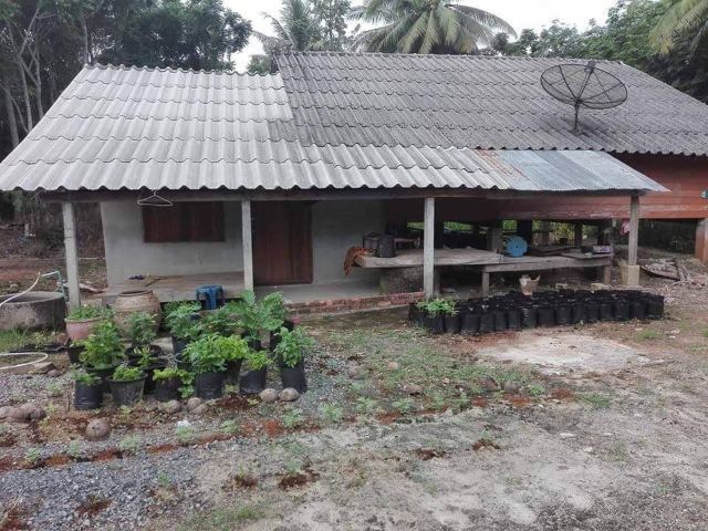 ใช่ บ้านพร้อมที่ดิน  รูปที่ 4