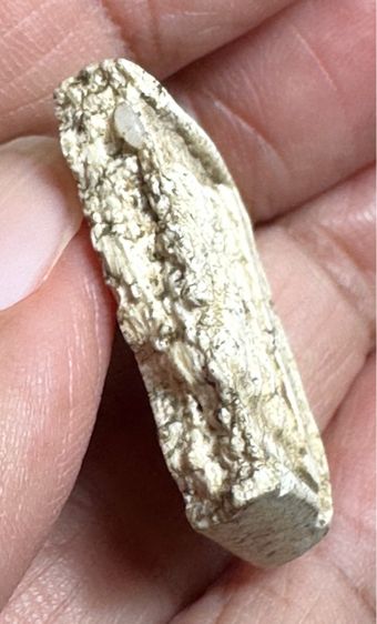 🙏พระสมเด็จมีมวลสาร🙏ชิ้นส่วนพระสมเด็จบึงพระยาสุเรนทร์🙏ชิ้นส่วนพระสมเด็จพิมพ์ใหญ่ องค์ละ1000 รูปที่ 17