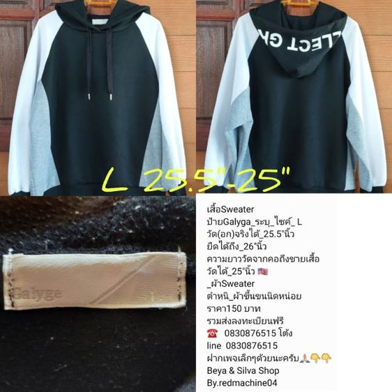 เสื้อวง U2 T Shirt Tour2018s' รูปที่ 15