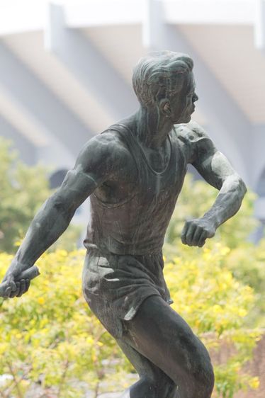 ขายเลนส์ canon70-300 f4 5-5.6 is ของดีภาพคม ใกล้เคียงเลนส์ L รูปที่ 13