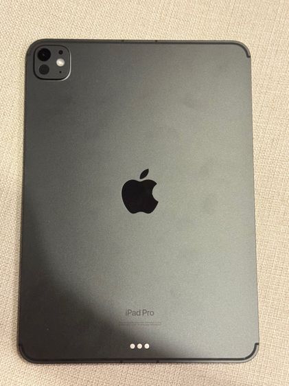 ipad pro m4 wifi cellular