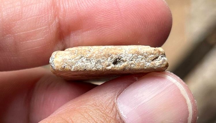 สมเด็จเก่า รูปที่ 5