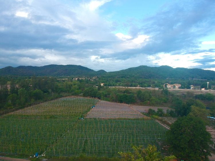 ขายที่ดินหัวหิน 100 ตรว. ติดพิพิธภัณฑ์ฝนหลวง น้ำไฟพร้อม วิวเขาแบล็คเมาส์เทน รูปที่ 3