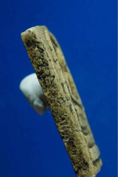 พระสมเด็จวัดระฆังพิมพ์ใหญ่หลังกระดาน  รูปที่ 4