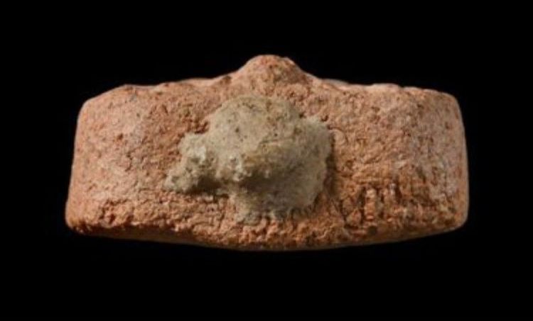 หลวงพ่อฤาษีลิงดำ รูปที่ 5