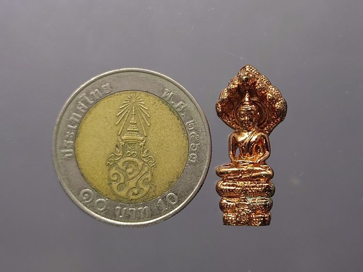 พระนาคปรก สธ. เนื้อนวะโลหะ พระพุทธราชสุดาสิรินธร พิธีวัดบวรนิเวศวิหาร ปี2538 พร้อมกล่องเดิม รูปที่ 8