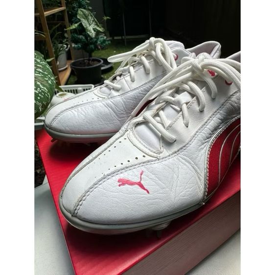 รองเท้ากอล์ฟ PUMA 37-38  รูปที่ 3