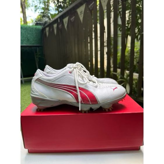 รองเท้ากอล์ฟ PUMA 37-38  รูปที่ 6
