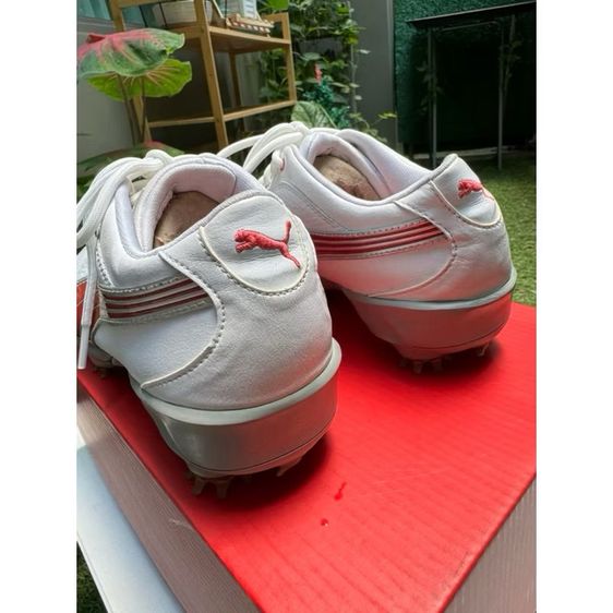 รองเท้ากอล์ฟ PUMA 37-38  รูปที่ 5