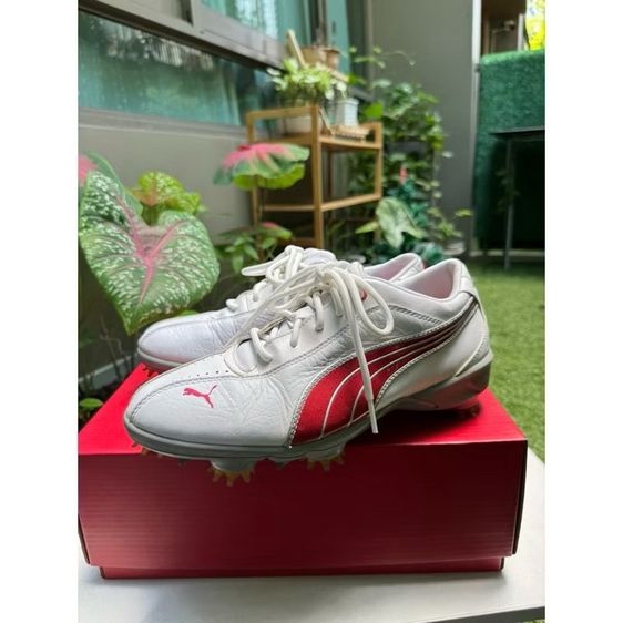 ผู้หญิง รองเท้ากอล์ฟ PUMA 37-38 